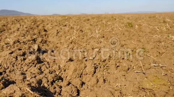 镜头越过犁地麦田春田湿润的棕壤充满腐殖质腐烂的植物茎视频的预览图
