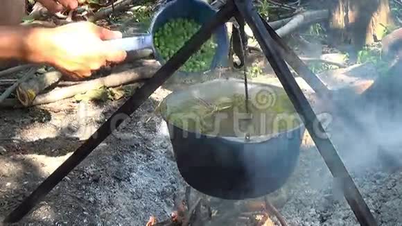 露营食品游客锅里的食物放在火上在火上煮的视频的预览图