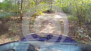 在树林里开车视频的预览图