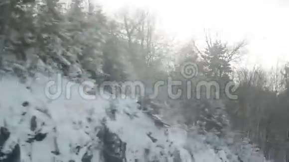 冬天冻树从高速公路上射出视频的预览图
