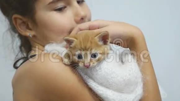 女孩抚摸一只小红猫抱着视频的预览图