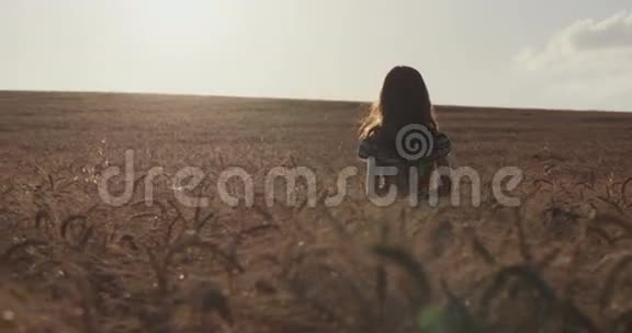 日落时分金色田野里的少女幸福地举起双手视频的预览图