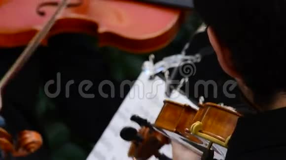 音乐会中演奏小提琴或中提琴的音乐家视频的预览图