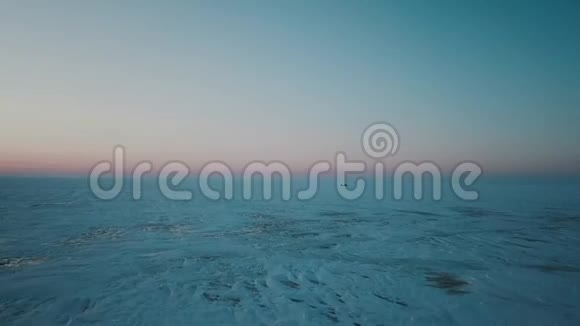 日落于冬湖高空拍摄冬季冰雪覆盖的大型松林环绕的冰湖鸟瞰图视频的预览图