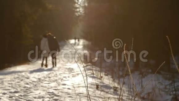 这是一对相爱的年轻夫妇在风景如画的冬季公园散步在阳光明媚的日子里雪牵着手视频的预览图
