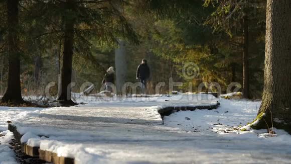 这是一对相爱的年轻夫妇在风景如画的冬季公园散步在阳光明媚的日子里雪牵着手视频的预览图