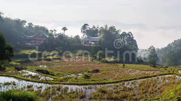 在美丽的梯田稻田和丛林中一个小的传统村庄屋顶尖尖的船形屋顶田园诗般的位置视频的预览图