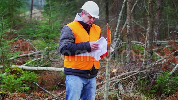 森林工程师在森林里翻文件视频的预览图