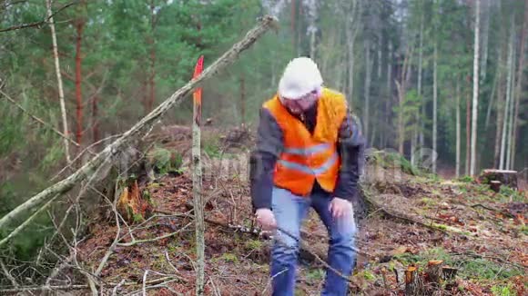林业工人试图在森林中移动树枝视频的预览图