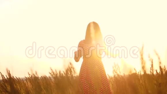 慢动作录像美丽的女孩在田野里旋转手在夕阳的阳光下的手剪影生活方式视频的预览图