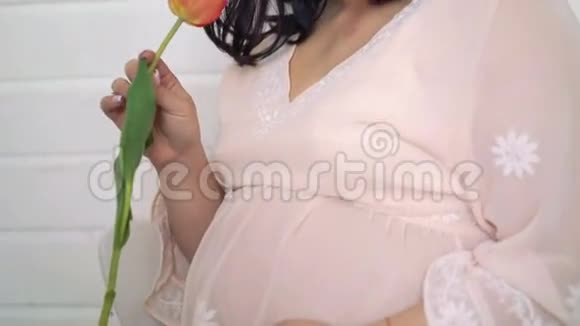 合上怀孕的郁金香用它触摸她的腹部4k视频的预览图