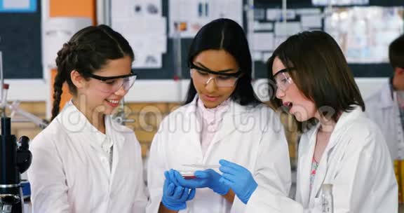 学校女生在实验室做化学实验视频的预览图