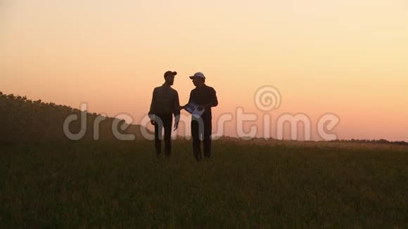 两个农民在田野上散步他们携带种植树木的设备在日落的时候侧视图视频的预览图