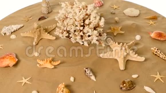 沙上美丽的贝壳白色旋转视频的预览图