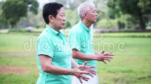 亚洲老年夫妇在公园户外练习太一气功抽象的爱与自然视频的预览图