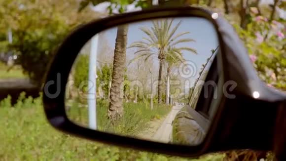 道路两旁是热带棕榈树视频的预览图