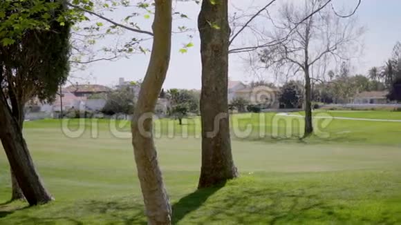 高尔夫球场上散落着各种老树视频的预览图