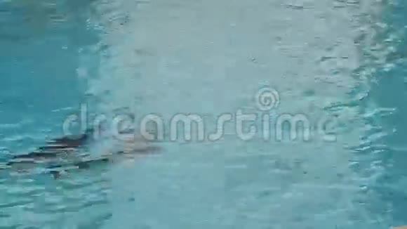 海豚在水下游泳视频的预览图