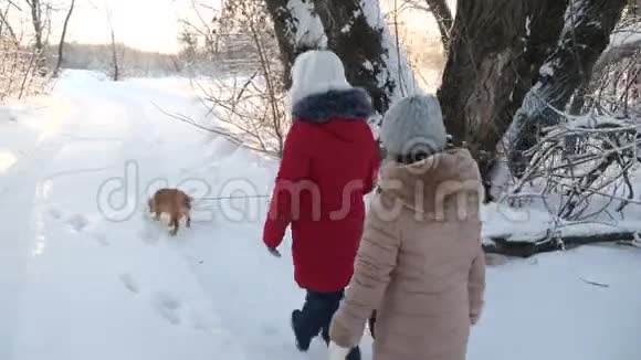 两个女孩和狗和狗在冬季公园沿着小路散步孩子们在森林里冬天在雪地里和狗玩开心快乐视频的预览图
