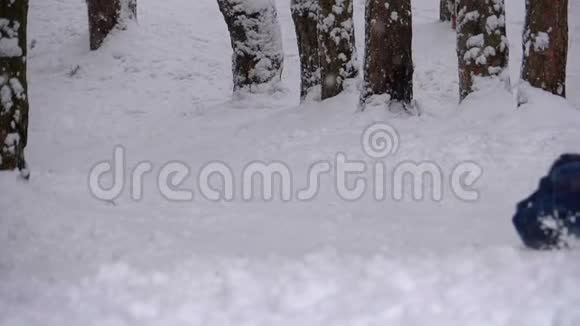 孩子们在松林中滑下一座雪山慢动作视频的预览图