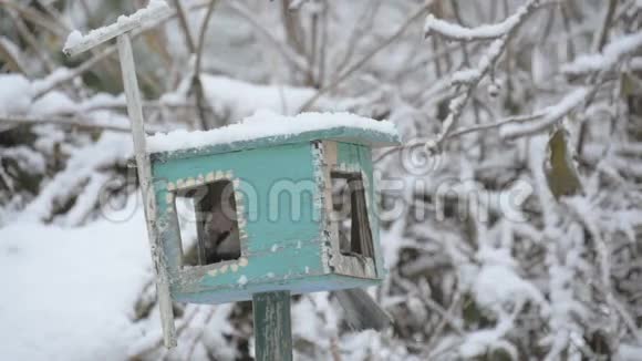 一只鸟在喂食器里啄食谷物动作缓慢雪花落在鸟舍上冬天喂鸟视频的预览图