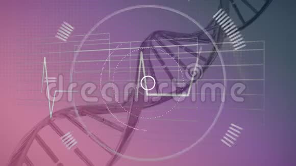 在粉色和紫色背景上转动DNA链视频的预览图