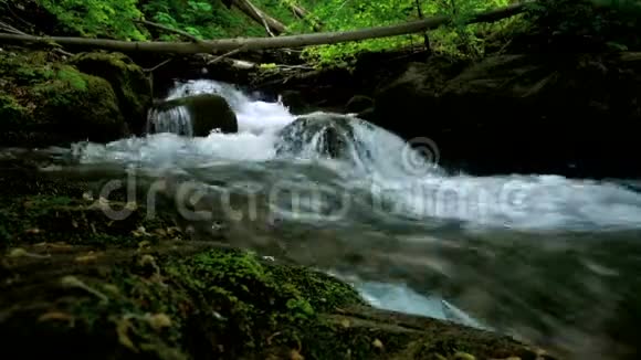 山间河流湍急瀑布溪流流过茂密的绿色森林密林中的溪流视频的预览图