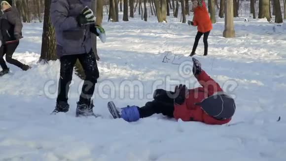 兄弟们在冬季公园玩雪视频的预览图