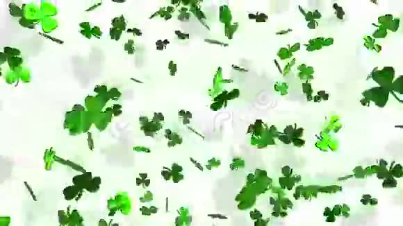 抽象的三叶草叶子在白色上视频的预览图