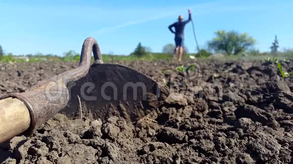 一种耕种土壤的工具戴帽子的人在背景中耕种土壤视频的预览图