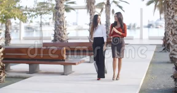 两位优雅的女士散步聊天视频的预览图