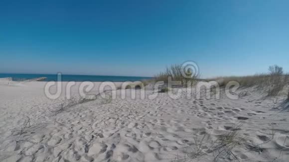 波罗的海海滩全景视频的预览图