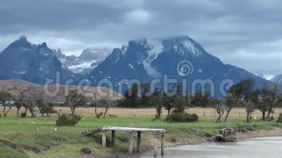 阿根廷的青山和雪山上的鸟视频的预览图