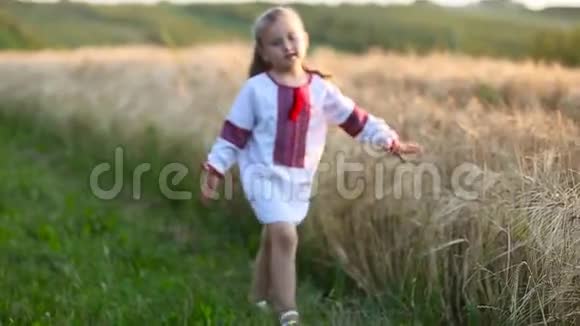 小女孩走在麦田里视频的预览图