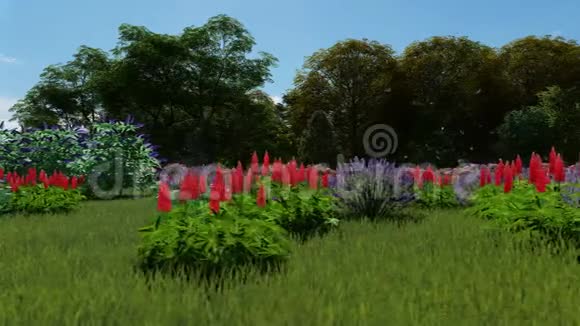 春天在草地上撒野花视频的预览图