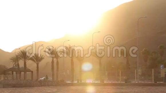 夕阳下棕榈树沿着公路棕榈树在群山的背景下太阳在山上落下视频的预览图