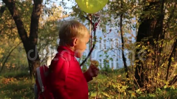 秋天公园里有气球苹果的小男孩视频的预览图