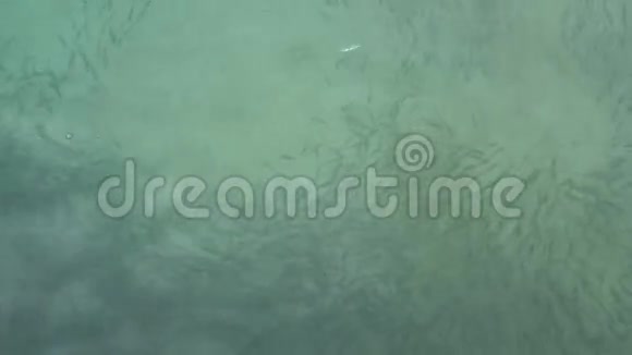 泰国克拉比省菲菲岛上一条绿松石蓝色的菲岛上旋转着美丽的鱼岛视频的预览图
