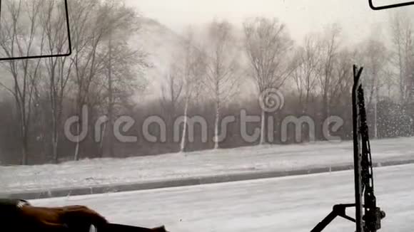 春天的下午城市里的雪和风在房子的背景下视频的预览图