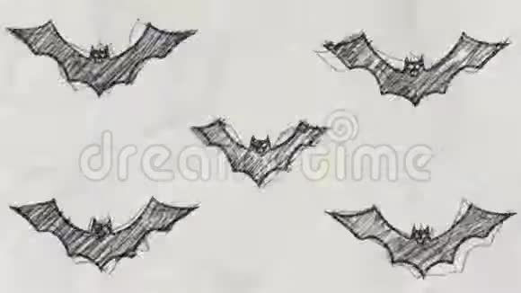 蝙蝠素描在铅笔绘图风格视频的预览图