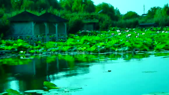 绿松石湖风斜第1版视频的预览图
