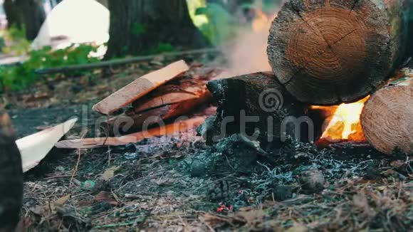 一种笼罩着火焰的燃烧的大原木的景象自然旅游和生存的篝火视频的预览图