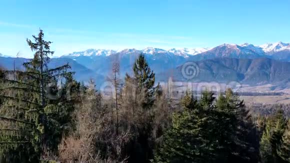 阿尔卑斯山视频的预览图