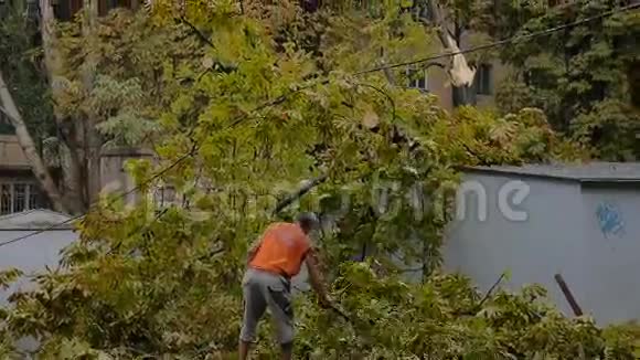 7月大暴雨后一名男子正在清扫倒下的树视频的预览图