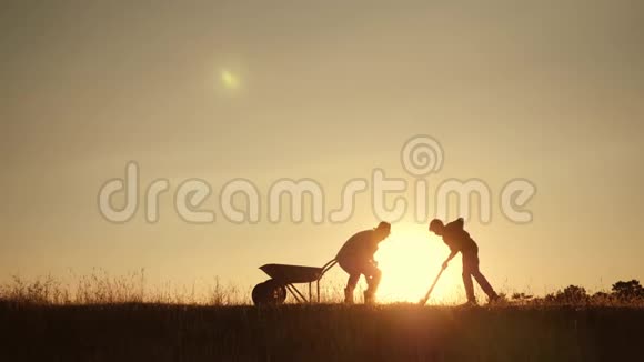 幸福的家庭父子在夕阳下的田野里收割视频的预览图