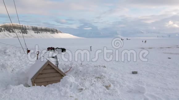 雪橇狗队马拉穆特哈士奇爱斯基摩人在北极冰川的背景下休息视频的预览图