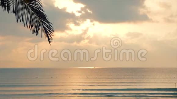 美丽的日落在热带的海洋的背面概念自然假期放松视频的预览图