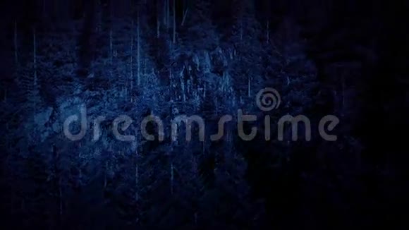 夜晚在森林中飞过悬崖视频的预览图