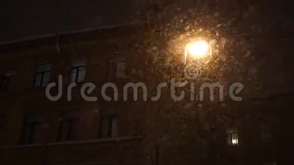 城市夜间降下大雪大雪花照灯落视频的预览图