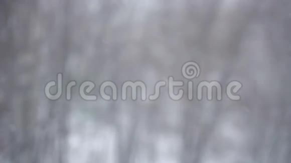 降雪背景视频的预览图